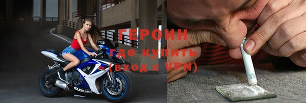дмт Болотное