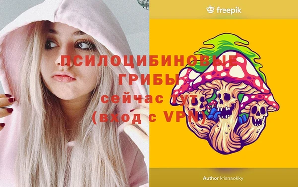 бутират Новодвинск