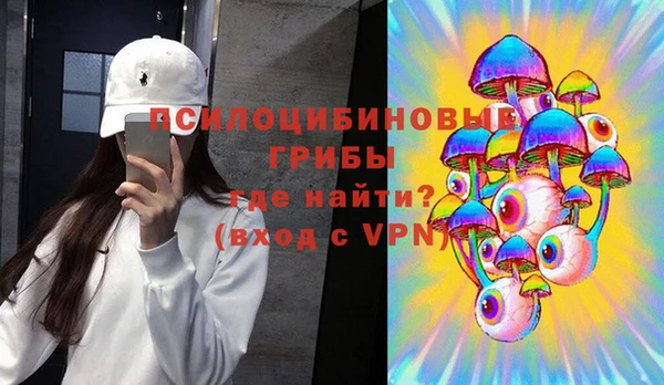 гашик Новокубанск