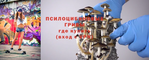 дмт Болотное