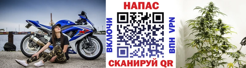 Канабис гибрид Торжок